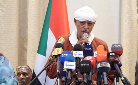 موسي هلال: قريباً ولايات دارفور وكردفان خالية من المليشيا 