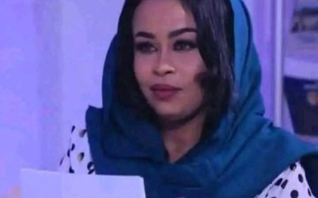 رشان اوشي: جهات دولية عرضت على التوطين بالخارج 
