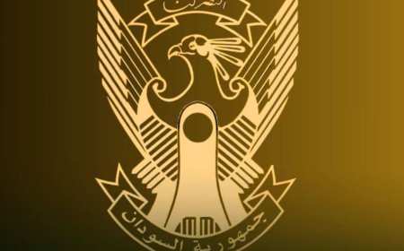 الجيش: إسقاط مسيرة استراتيجية للمليشيا في شمال كردفان 