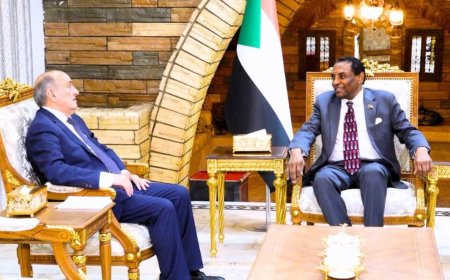 رئيس الوزراء يلتقي مبعوث الإتحاد الإفريقي لدى السودان