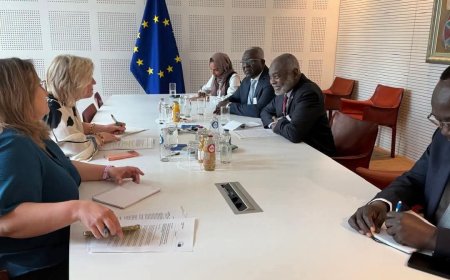 جبريل إبراهيم ل"مسؤول بالبرلمان الأوروبي" : إنهاء الحرب يتطلب وقف الدعم الخارجي للمليشيا    
