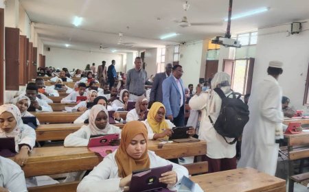 بدء امتحان الكفاءة المهنية الإلكتروني لـ350 ممارساً صحياً بالنيل الأبيض    