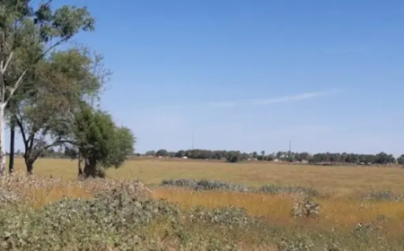 إغلاق حدود أفريقيا الوسطى يمنع عودة السودانيين إلى بلدهم 