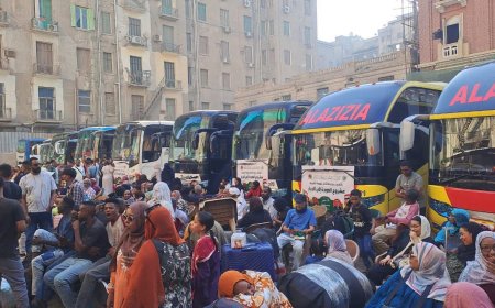بدء تفويج أساتذة الجامعات واسرهم من مصر