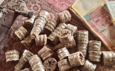 ضبط مروج للحشيش في نهر النيل 