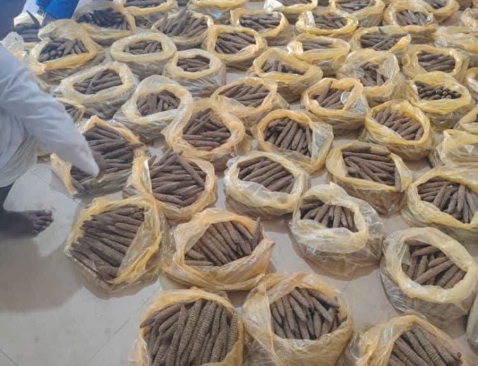 إحباط تهريب (8) ألف رأس من (البنقو) بنهر النيل 