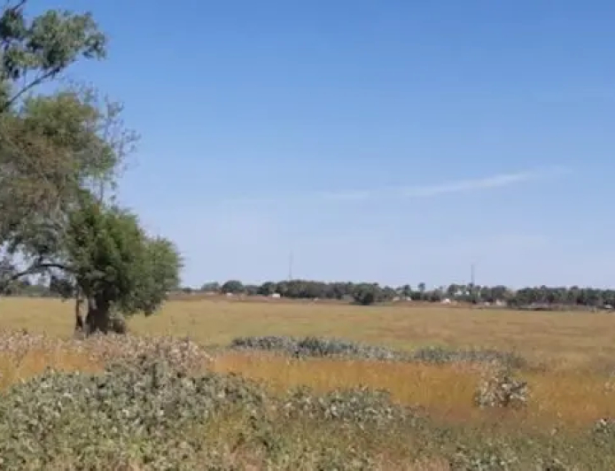 إغلاق حدود أفريقيا الوسطى يمنع عودة السودانيين إلى بلدهم 
