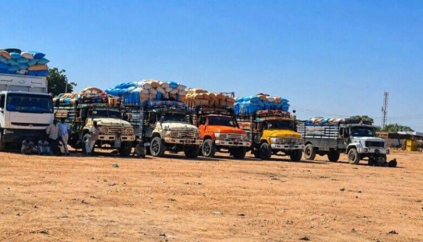 المليشيا تنهب 35 شاحنة محملة بالمحاصيل في غرب كردفان 