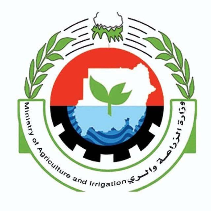 الزراعة والري: لجنة حكومية لمتابعة الموقف المائي على مدار الساعة وانخفاض مناسيب النيل مؤقت