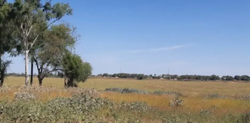 إغلاق حدود أفريقيا الوسطى يمنع عودة السودانيين إلى بلدهم 