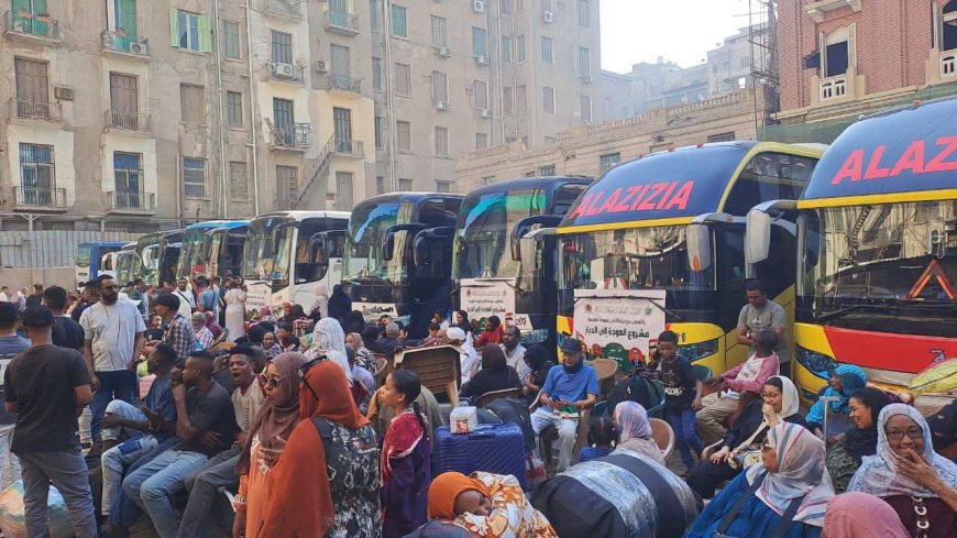 بدء تفويج أساتذة الجامعات واسرهم من مصر