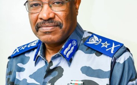 الجوازات: ترتيبات لارسال فريق فني إلى القاهرة لإستخراج وثائق السفر الاضطرارية للسودانيين