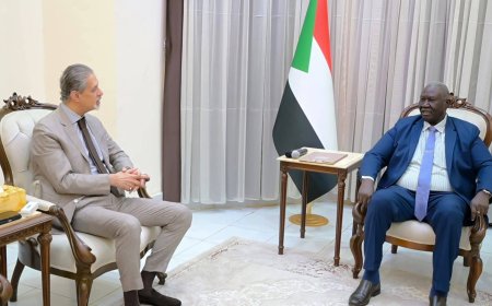 عقار: مواقف مصر الداعمة للسودان في الحرب تعكس احترامها العميق لإرادة الشعب السوداني