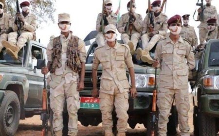 بعد سحقها في كردفان.. عناصر المليشيا المدحورة تصل محلية ود بندة (بالحمير)