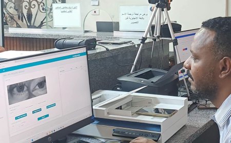 إكتمال تشغيل نظام الجواز الإلكترونى المحدث بـنسبة 70% في السفارات والقنصليات بالخارج