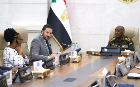 البرهان يلتقي وفد مجلس السلم والأمن الأفريقي