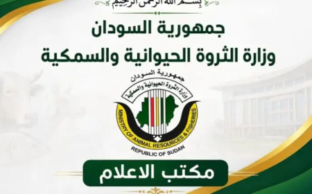 توضيح من "الثروة الحيوانية" بشأن صادر اللحوم للسعودية ودول الخليج