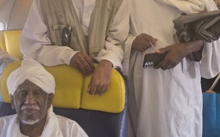 وصول الإمام أحمد المهدي إلى الخرطوم 