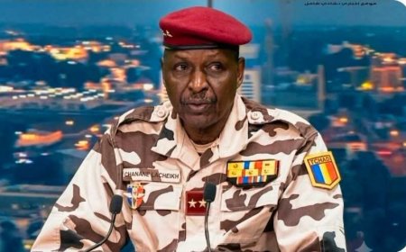 الجيش التشادي يقر باستهداف قافلة مركبات قرب الحدود السودانية 