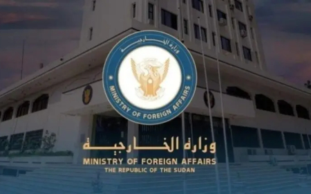 الحكومة:اتهام الجيش بشن هجمات داخل تشاد تم قبل إجراء أي تحقق مهني ومستقل عن ملابسات الواقعة