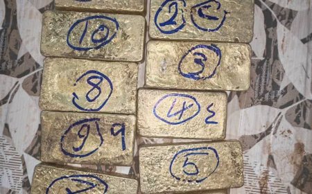 ضبط كميات ضخمة من الذهب بحوزة متهم في الشمالية 