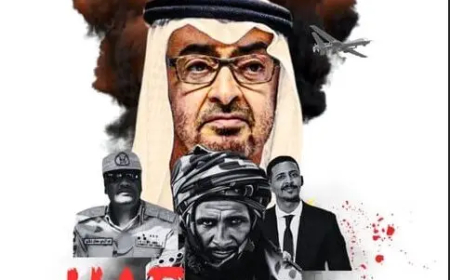 سودانيون يلاحقون الإمارات أمام المحاكم الأمريكية