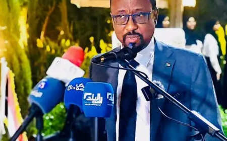 الإعيسر: العلاقات (السودانية_ المصرية) تاريخية وراسخة ولا يمكن فصلها عن الروابط التي تجمع شعبي البلدين
