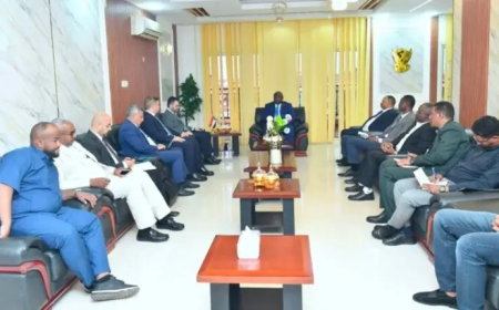 وزير المعادن: الحكومة جاهزة لاستقبال الاستثمارات التركية في قطاع التعدين وتسهيل أنشطة الشركات