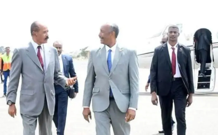 البرهان يصل أريتريا 