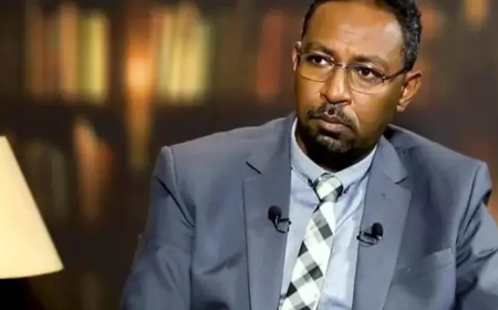 أمجد فريد: مزاعم استخدام الأسلحة الكيميائية في السودان "قوالة" مرتدية ثوب المعلومات الاستخباراتية   