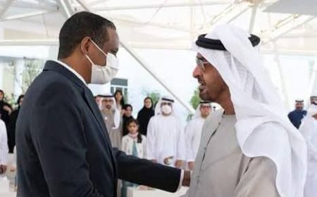 أثبتت تورط الإمارات في دعم المليشيا واشعال الحرب...التفاصيل الكاملة للتقرير النهائي لفريق خبراء مجلس الأمن المعني بالسودان