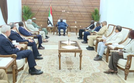 عقار ل"الالية الخماسية": إيقاف الحرب يبدأ بالحديث إلى الإمارات لوقف دعم المليشيا قبل الحديث عن أي عملية سياسية   