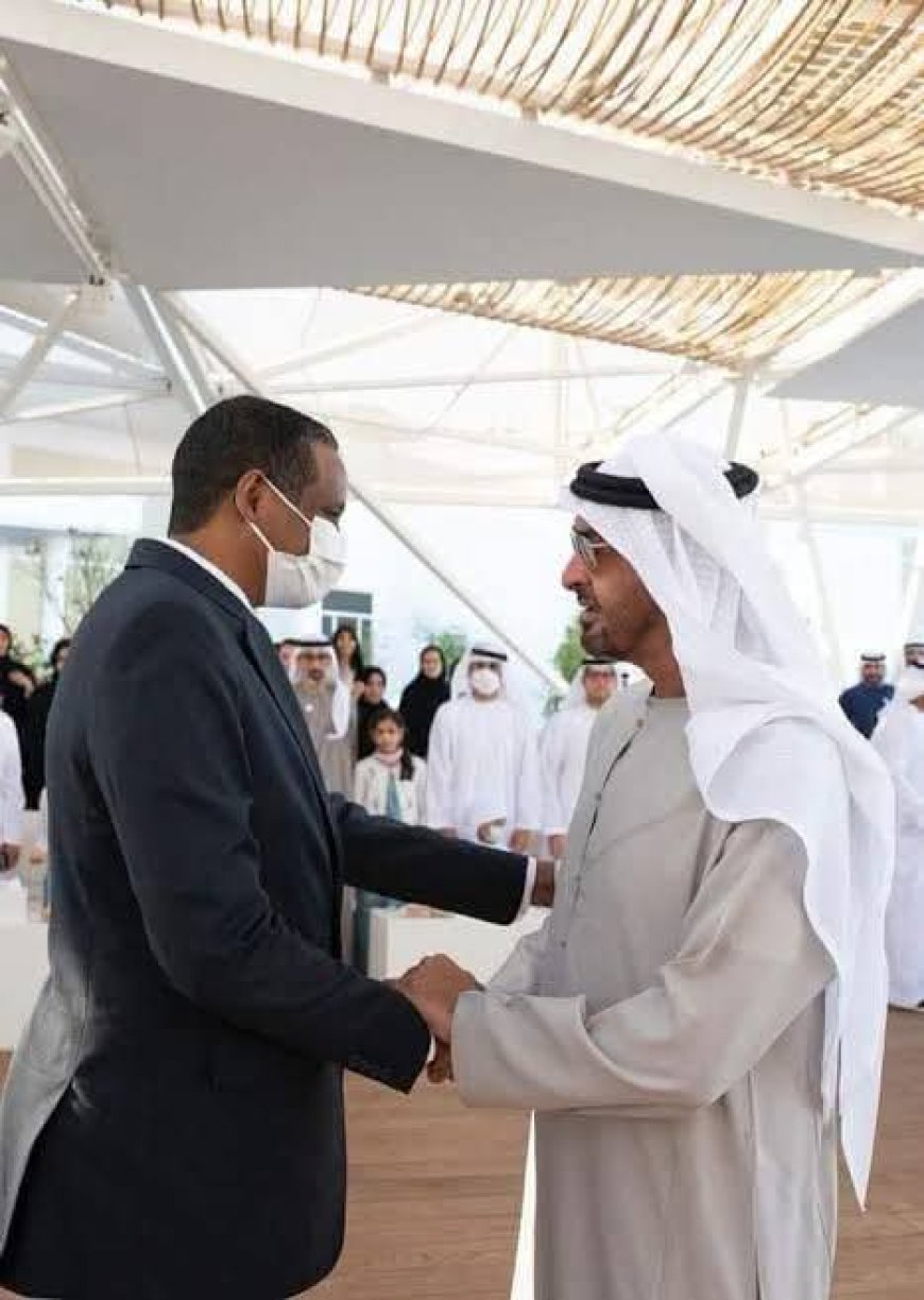 أثبتت تورط الإمارات في دعم المليشيا واشعال الحرب...التفاصيل الكاملة للتقرير النهائي لفريق خبراء مجلس الأمن المعني بالسودان